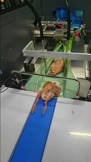 Chicken vacuum packing machine #flowpackingmachine #vacuumpackingmachine #packingmachine