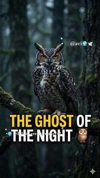 "The Silent Assassin: You Won’t Believe the Power of This Great Horned Owl! 🦉🔥"