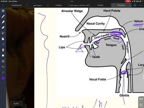 Place of articulation