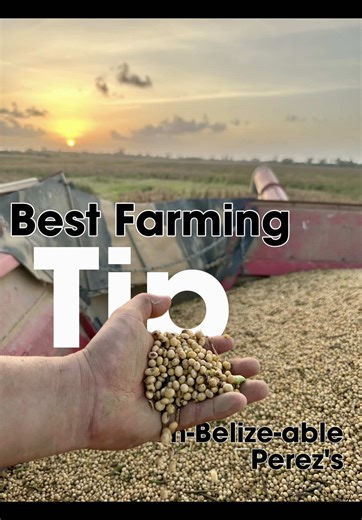 Celebrating Belize's Coastal Road Farmers