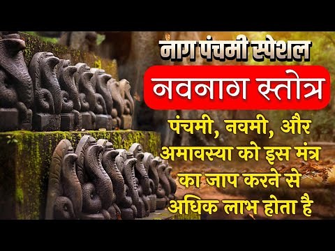 Nag Panchami Mantra | Navnag Stotra | नाग पंचमी स्पेशल | नवनाग स्तोत्र | Nag Devta Shlok