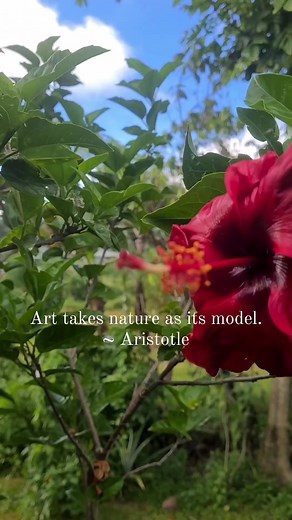 We chose Samoa as the base for our art studio and gallery. For obvious reasons. #samoamatalasi #beautifulsamoa #manameaartstudio #manameagallery #art #samoanart #madeinsamoa #artists #inspiration #beautiful | Manamea Art Studio