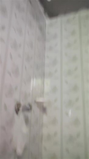 Happy Ness (@happy.ness386)’s videos with original sound - 💫Aya 💦