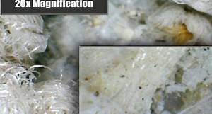 28 reactions · 12 shares | :) FREE $10 gift card* for Carpet Cleaning! :) OVER 550 GREAT ONLINE REVIEWS! :) 6 Awards for customer service and cleaning :) We hire people with disabilities :) We give back to our local community *Just like and share our page to get it! 843-901-0561 *Call for deal details. The carpet in this picture had no fiber damage. Fiber damage will effect the final look of your carpet.* Gift card cannot be redeemed for cash | Valet Dry Carpet Cleaning | Facebook