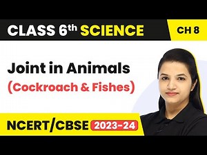 Class 6 Science Chapter 8 | Body Movements - Joint in Animals (Cockroach & Fishes)