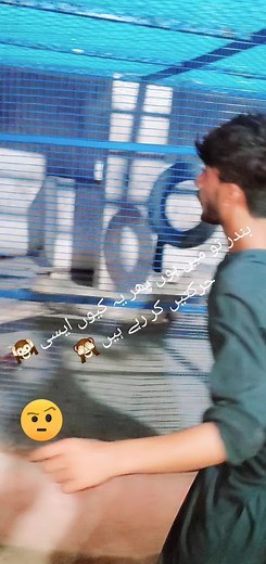 #😺😺😺😺😺