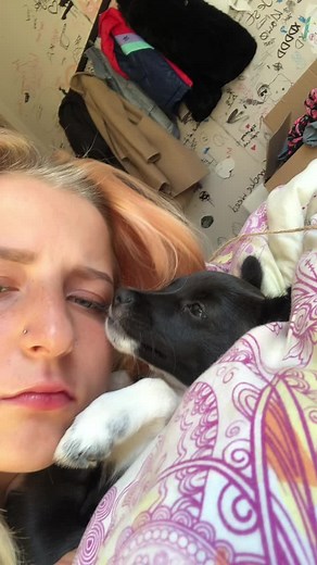 Adorable Puppy Cuddles in Cozy Room