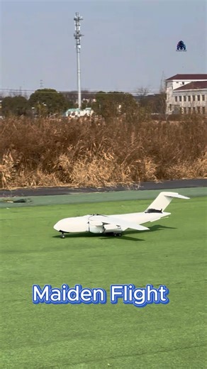 Shortest maiden flight of this RC plane #rccrash #rc #rcplane #rcmodel #3dprinting #rchobby