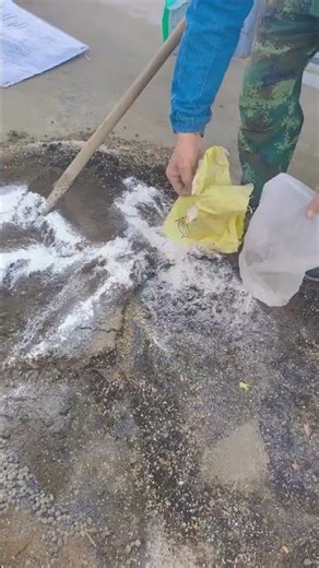 DIY Sandy Loam Soil: The Ultimate Guide Gardening Tips Soil Improvement