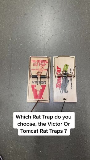 VICTOR Rat trap VS TOMCAT Rat Traps #rat #rattrap #twintrap #pestcontrol