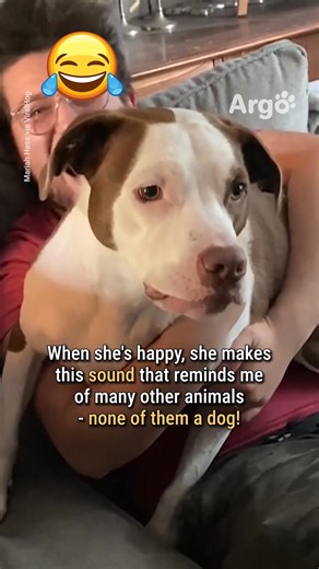 A mix between a dog and a turkey 😂 | Argo Pets