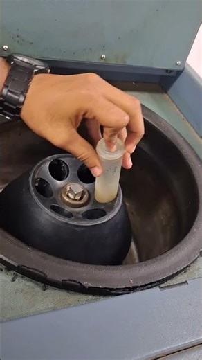 How to Load Samples in a Refrigerated Centrifuge | Lab #Shorts