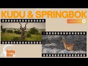 🦓 First Time Safari Africa 🦏 | FULL LENGTH Kudu and Springbok hunt | Eastern Cape | 2021
