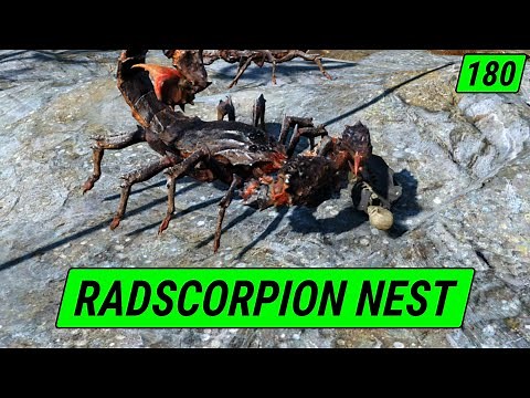 Huge Radscorpion Nest | Fallout 4 Unmarked | Ep. 180