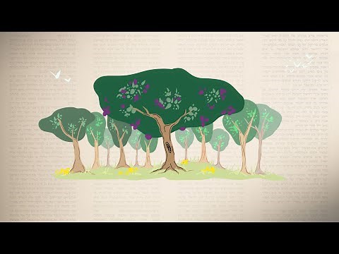 The Garden of Eden and Tree of Knowledge in the words of the Bible