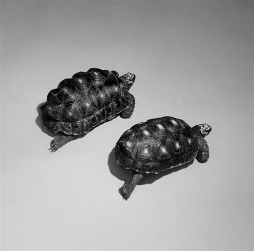 Sam Smith - "Love Is A Stillness"