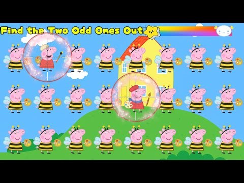Quiz Game for Kids 🐷 Learn & Play