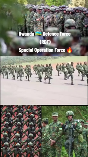 RDF stone discovery Rwanda: creator search insights