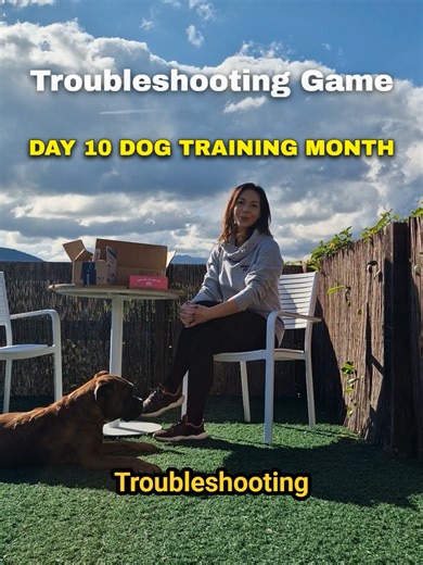 Day 10: National Dog Training Month 🐾 Troubleshooting Game is a simple enrichment exercise that encourages your Boxer to think, explore, and work independently. By letting your Boxer figure out how to access their reward, you build confidence, resilience, and calm focus. It’s a great way to use mental energy in a constructive way. Why is the Troubleshooting Game important? ⭐ Builds confidence through independent problem-solving ⭐ Provides mental stimulation, helping tire your Boxer in a positiv