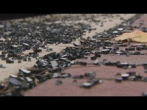 Rogers Park residents outraged after vandals damage nearly 20 cars