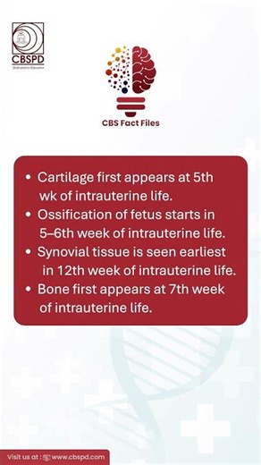 Embryology Essentials: When Do Bones and Joints First Appear? | CBS Fact Files