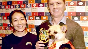 Desert rescue dog Gobi is thriving as she starts her new life in Scotland