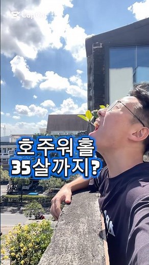 호주 워홀 비자 신청 만 35세까지 연장