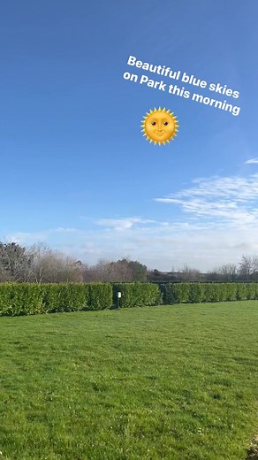 Monkey Tree Holiday Park on Reels