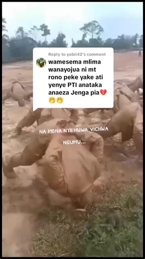 Replying to @yobii42 #foryou #kenyanavy #kdfpassout #kenyan #kenyantiktok #kenyaarmy #fyppppppppppppppppppppppp #rts #foryoupageofficiall #KDFRecruitment2024 #militarylife #fypシ゚viral #specialforces #trending #Kdftraining #foryoupage #militaryvibes #fyp #military