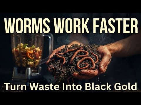Make Worm Castings 4X Faster 🌱 The Underground Soil Trick Most Gardeners Miss
