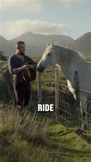 2 Lovable Horse Breeds That Are Becoming Family Favorite #horse #equestrian