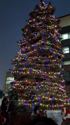 Christmas lightning Countdown Niagara Falls #shorts #christmas