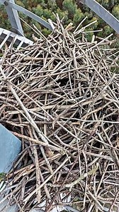 33K views · 1K reactions | A complex nest on a complex structure | Nature And Wildlife | Facebook