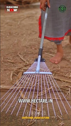 Amazing Telescopic Pole