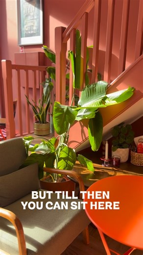 oidumplings on Instagram: "Morning Marsden 🌞 Happy Saturday 👋 We’re open 10–6PM today. Pop in, warm up, have a catch up. Bring your dog, bring your mate, bring your gossip. Spring’s nearly here… but until then, we’ve got the heating on. See you soon x"