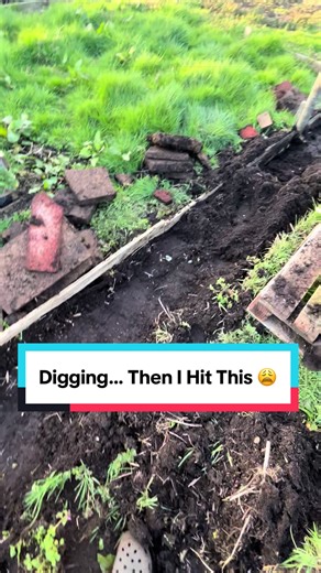 Digging for a Fence and Flower Bed: Surprising Discoveries
