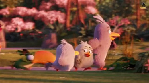 ASAR on Instagram: "@watchovideos 🎯 Angry Birds (Movie) 🐦💥 Get ready for some explosive fun! 💣 In the beautiful paradise of Bird Island, Red, Chuck, and Bomb are out to protect their home from the sneaky green pigs 🐷! A story full of laughter, adventure 🔥 When birds get angry… pigs better run! 🐦💨💥 #AngryBirds #AngryBirdsMovie #RedTheBird #Chuck #Bomb #BirdIsland #ClayKaytis #FergalReilly #AnimationMovie #AdventureComedy #FunnyBirds #PigVsBird #SonyPictures #RovioEntertainment #AnimatedF