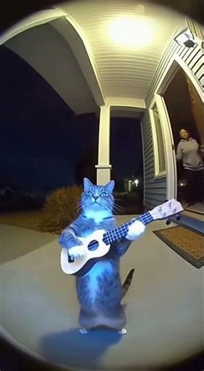 I Tried to Stop This and It Got Worse 😂