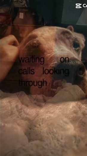 I can’t move on…