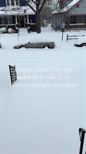 Cuidado con la nieve Razita#snow #standingseam #foryou #viralvideo #metalroof