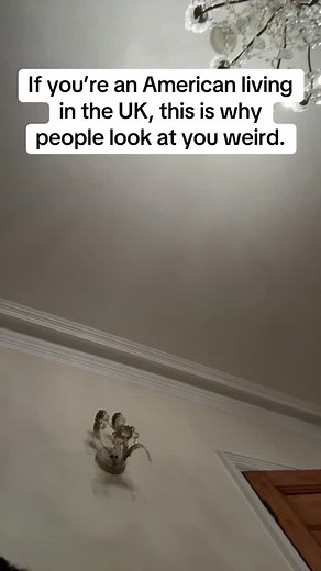 16K views · 2.6K reactions | Definitely an opportunity to learn about myself and be a bit more reflective. Assimilating takes willingness to grow and make changes. Ma'am, if you see this, sorry! If this moment resonated, let me know in the comments. And if you want to go deeper into our life abroad, subscribe for exclusive updates and a little extra cozy. #americanabroad #loud #aggressive #uktiktok #rochester | Zach Lincoln | Facebook