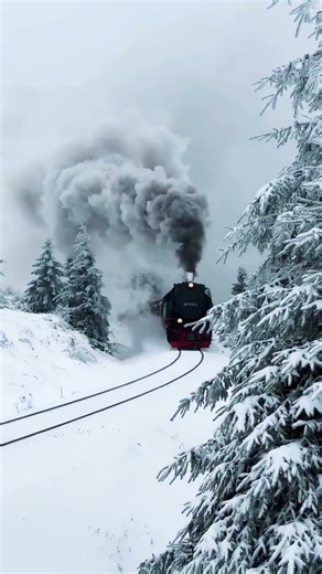 Beautiful Train Journey l Amezing Nature #nature #russia #train