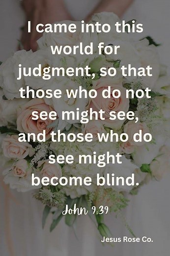 Catholic Bible Study | John 9:39 | Jesus Rose Co. ✝️