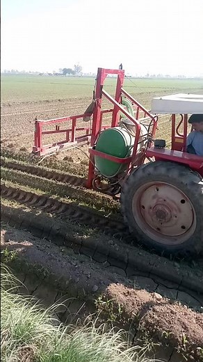 "Maize Crop Spraying with Tractor | Effective Weed & Shoot Fly Control"