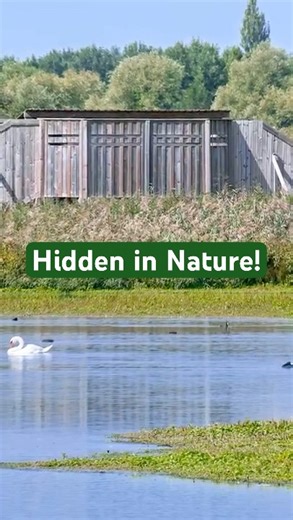 'Bird Blind' House: Nature Inspired Design & Architecture