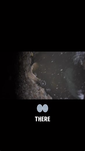 14K views · 172 reactions | Unclogging a septic tank: clump of grease  #viral #bluecollar #septictank | Poop Juice Tv | Facebook