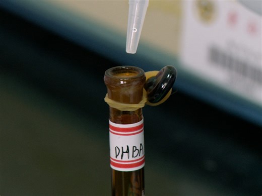 Vidéo: Chromatographie liquide à haute performance en phase inverse : une méthode robuste pour la quantification d’acides sialiques marqués par fluorescence et dérivés isolés du foie de souris - Expérience