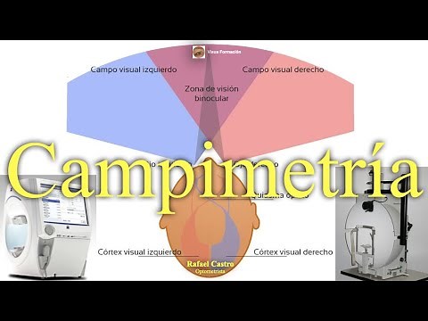 Campimetría. Técnica, Principios e Interpretación.