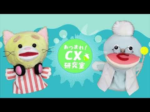 #15【CXの測定と改善】ちゃんと測って、ちゃんとふりかえる
