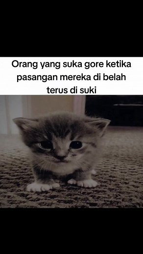 Katanya pecinta gor 😹